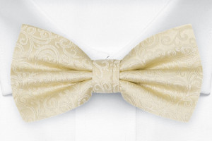 SWANKY Champagne pajarita