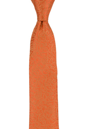 SWANKY ORANGE corbata para niños medianos
