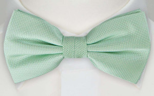 TARNA MINT pajarita