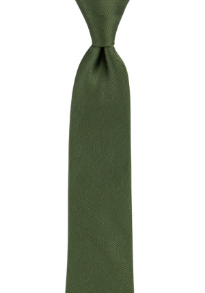 Twillie Seaweed Green corbata para niños medianos