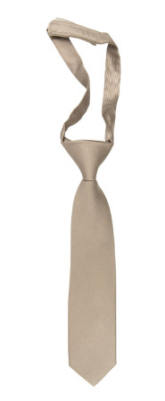 Twillie Taupe corbata pequeña pre-atada niño