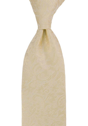 VIGSEL CHAMPAGNE corbata