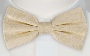 VIGSEL CHAMPAGNE pajarita