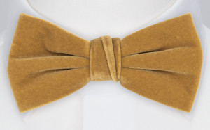 Velvet Butterscotch Beige pajarita