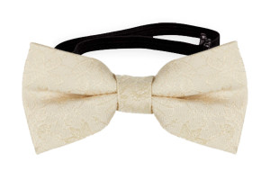 VIGSEL CHAMPAGNE pajarita bebé