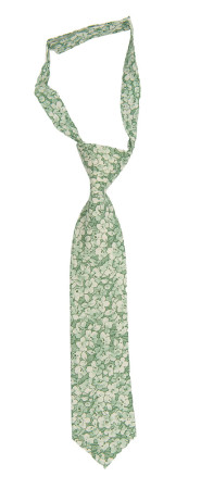 WEDDEBLIS GREEN corbata pequeña pre-atada niño